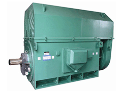 文山Y系列6KV高压电机